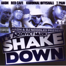 Akon - It's a Shakedown