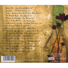 V/A - Old Wine, New Skins