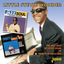 Wonder, Stevie -Little- - Jazz Soul of+Tribute To Uncle Ray