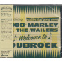 Bob Marley & the Wailers - Welcome To Dubrock