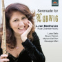 Zinman, David - Flute Chamber Music