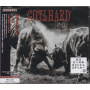 Gotthard - #13
