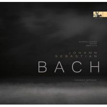 Ensemble Barockin' - Bach: Musikalisches Opfer Bwv 1079