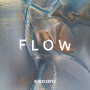 V/A - Flow