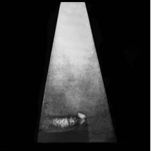 Whitehouse - Erector