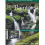 Various - Rainforest
