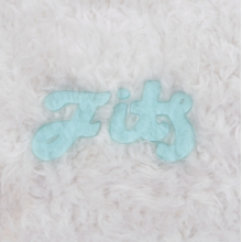 Fits, the - All Belief is Paradise