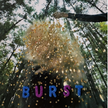 Snarls - Burst