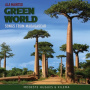 Hugues, Modeste & Kilema - Ala Maintso - Green World. Songs From Madagascar