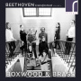 Boxwood & Brass - Beethoven Transformed Vol.2