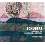Busch Trio - Schubert: Trio Opus 100, Sonatensatz & Notturno
