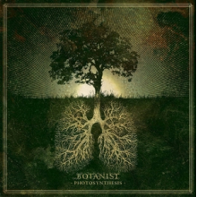 Botanist - Photosynthesis
