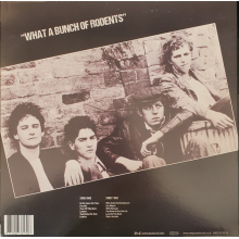 Satans Rats - What a Bunch of Rodents