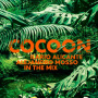 Various - Cocoon Ibiza 2013