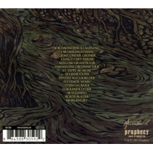 Vali - Skogslandskap