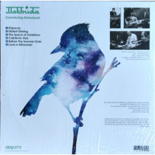 Mekbuda - Convincing Delusional