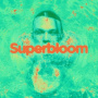 Irwin, Ashton - Superbloom