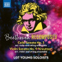 Coetzee, Luka - Beethoven Recomposed