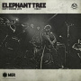 Elephant Tree - Day of Doom Live