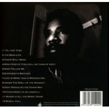 Chesnutt, Cody - Landing On a Hundred