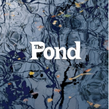 Pond - Pond